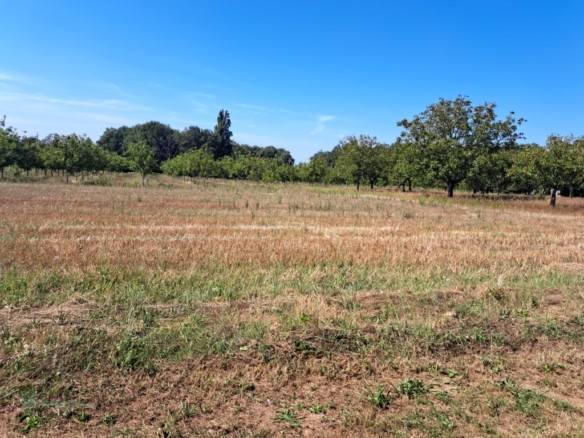 TERRAIN Á BÂTIR de 1500 m²