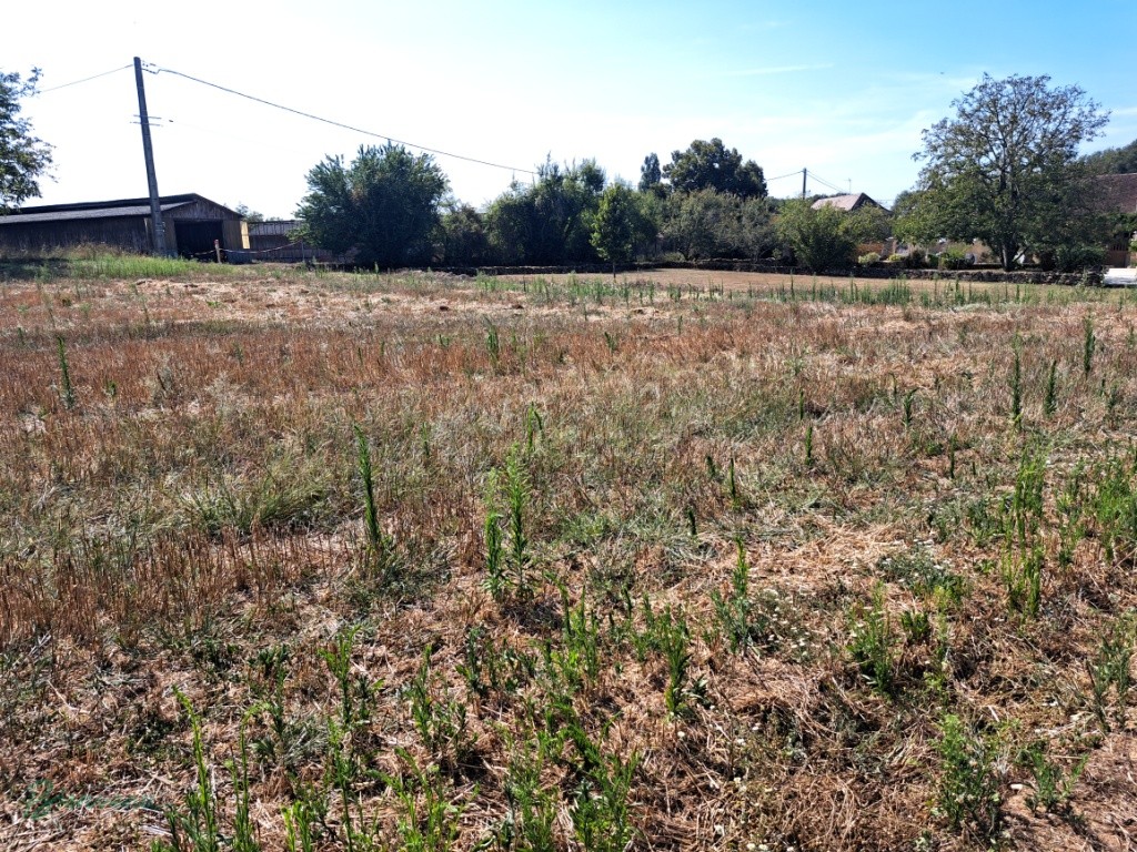 TERRAIN Á BÂTIR de 1500 m²
