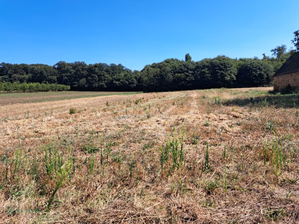 TERRAIN Á BÂTIR de 1500 m²