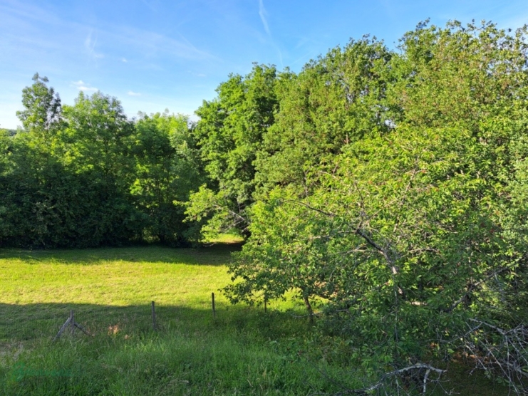 Maison récente et de plain pied sur grand sous-sol avec garage