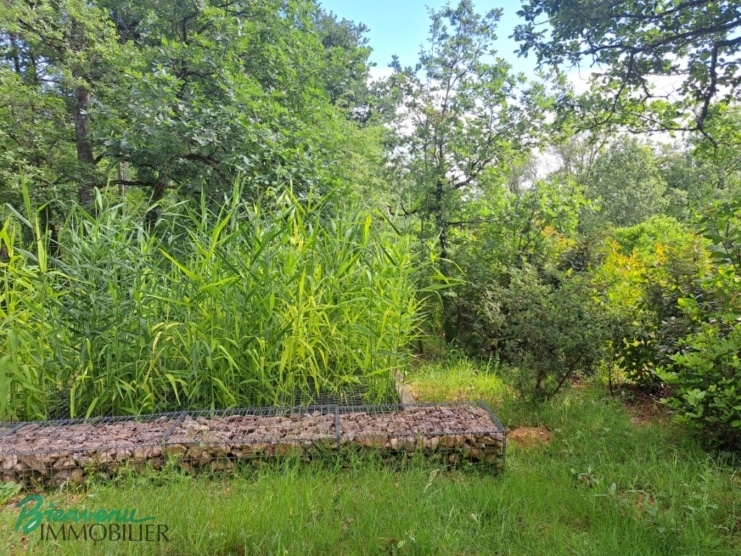 Maisons écologiques sur pilotis sur un joli jardin arboré