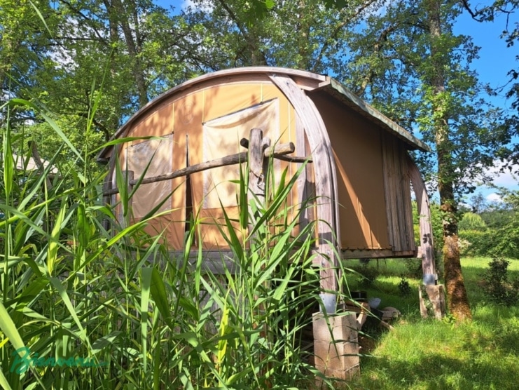 Maisons écologiques sur pilotis sur un joli jardin arboré