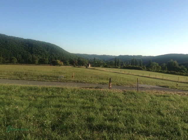 Terrain