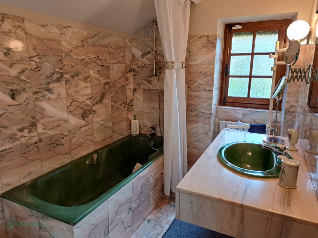 Charmante Maison principale en pierre & Gîte