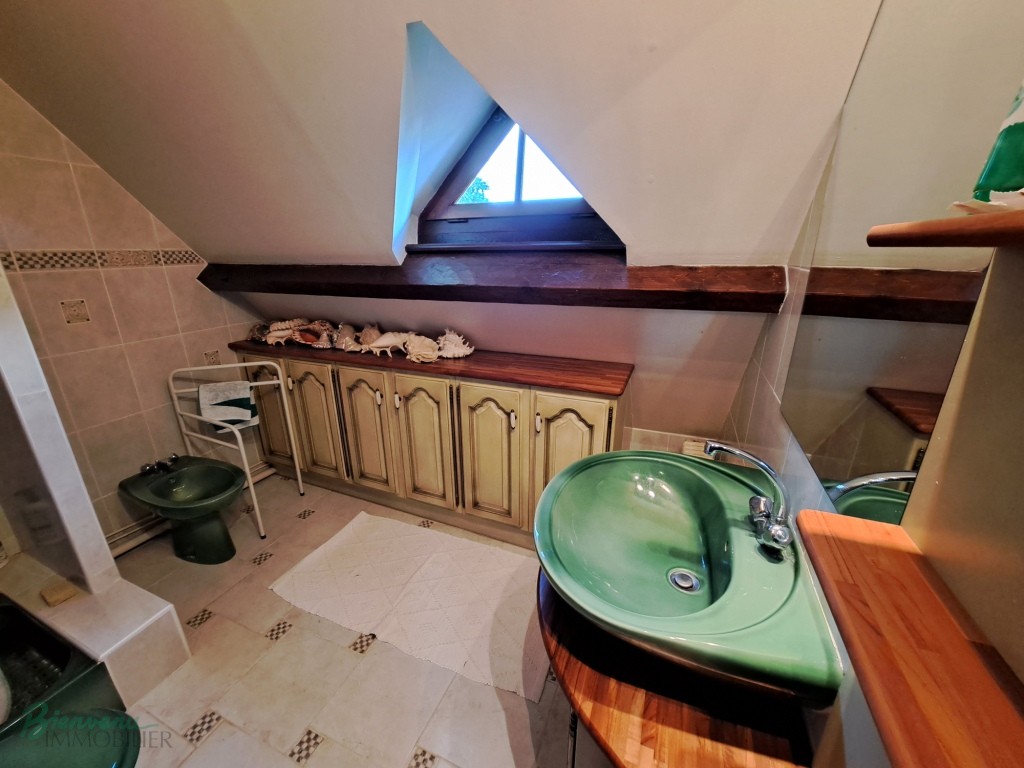 Charmante Maison principale en pierre & Gîte