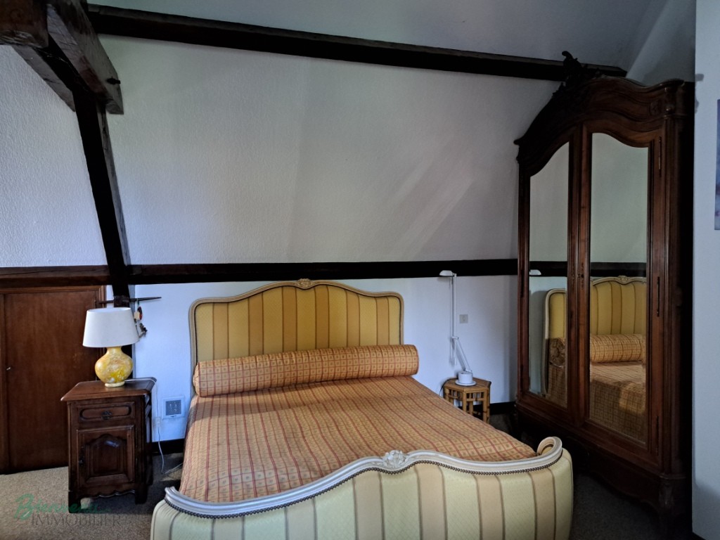 Charmante Maison principale en pierre & Gîte