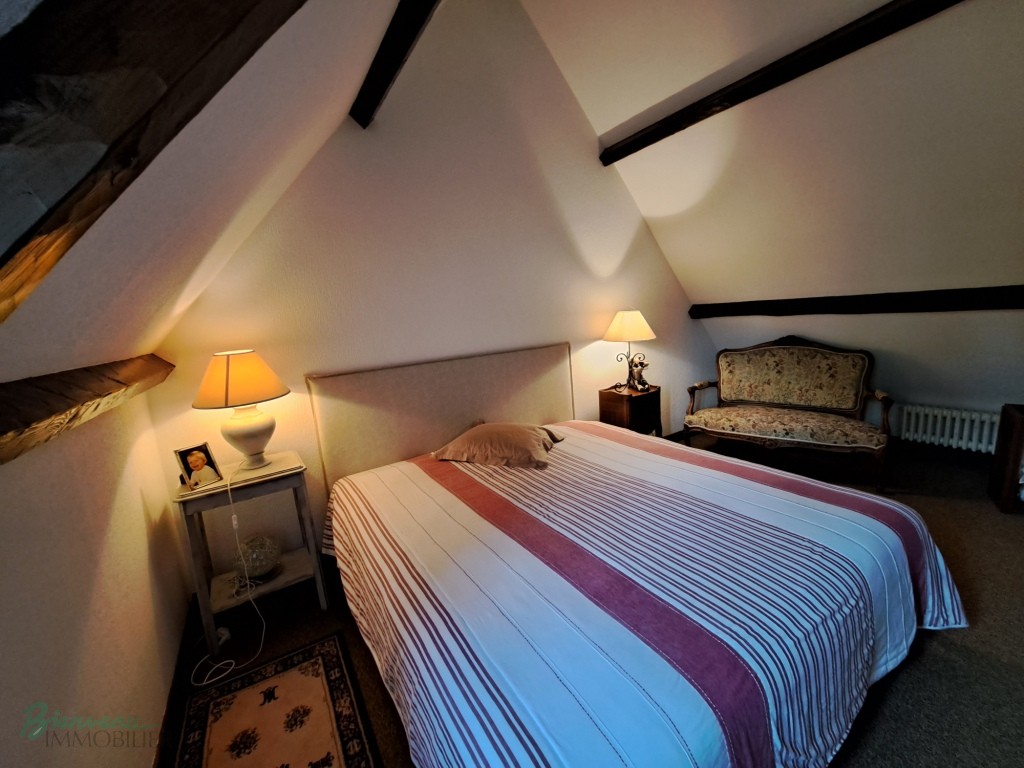 Charmante Maison principale en pierre & Gîte