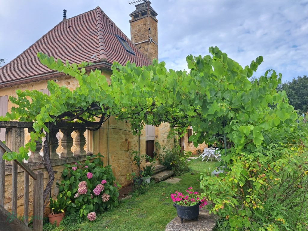 Charmante Maison principale en pierre & Gîte