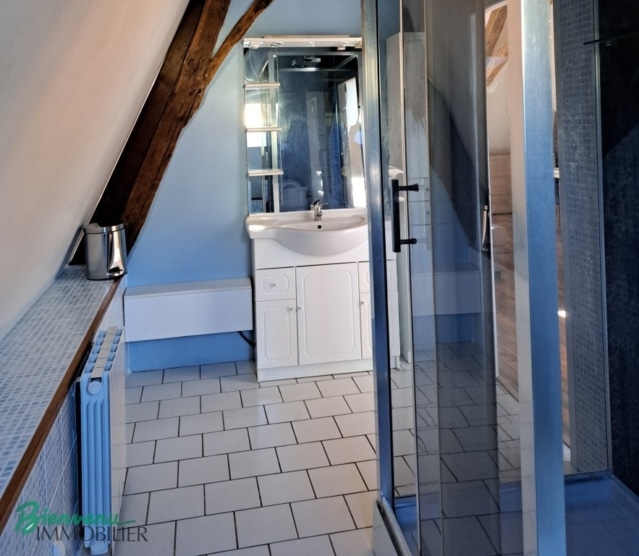 Joli appartement lumineux rénové type Loft