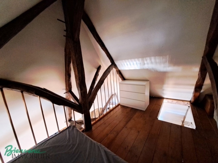 Joli appartement lumineux rénové type Loft