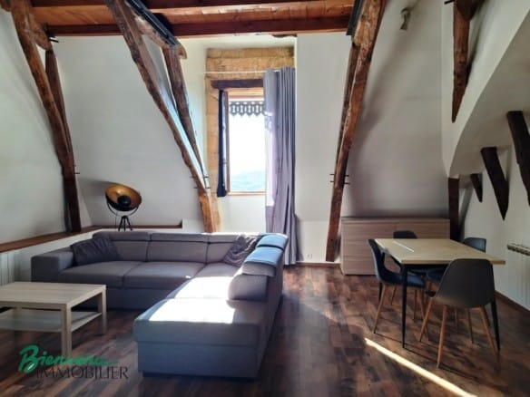 Joli appartement lumineux rénové type Loft