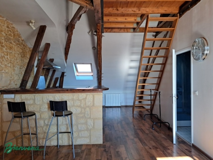 Joli appartement lumineux rénové type Loft