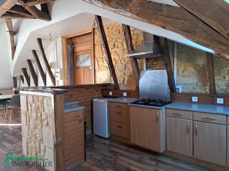Joli appartement lumineux rénové type Loft