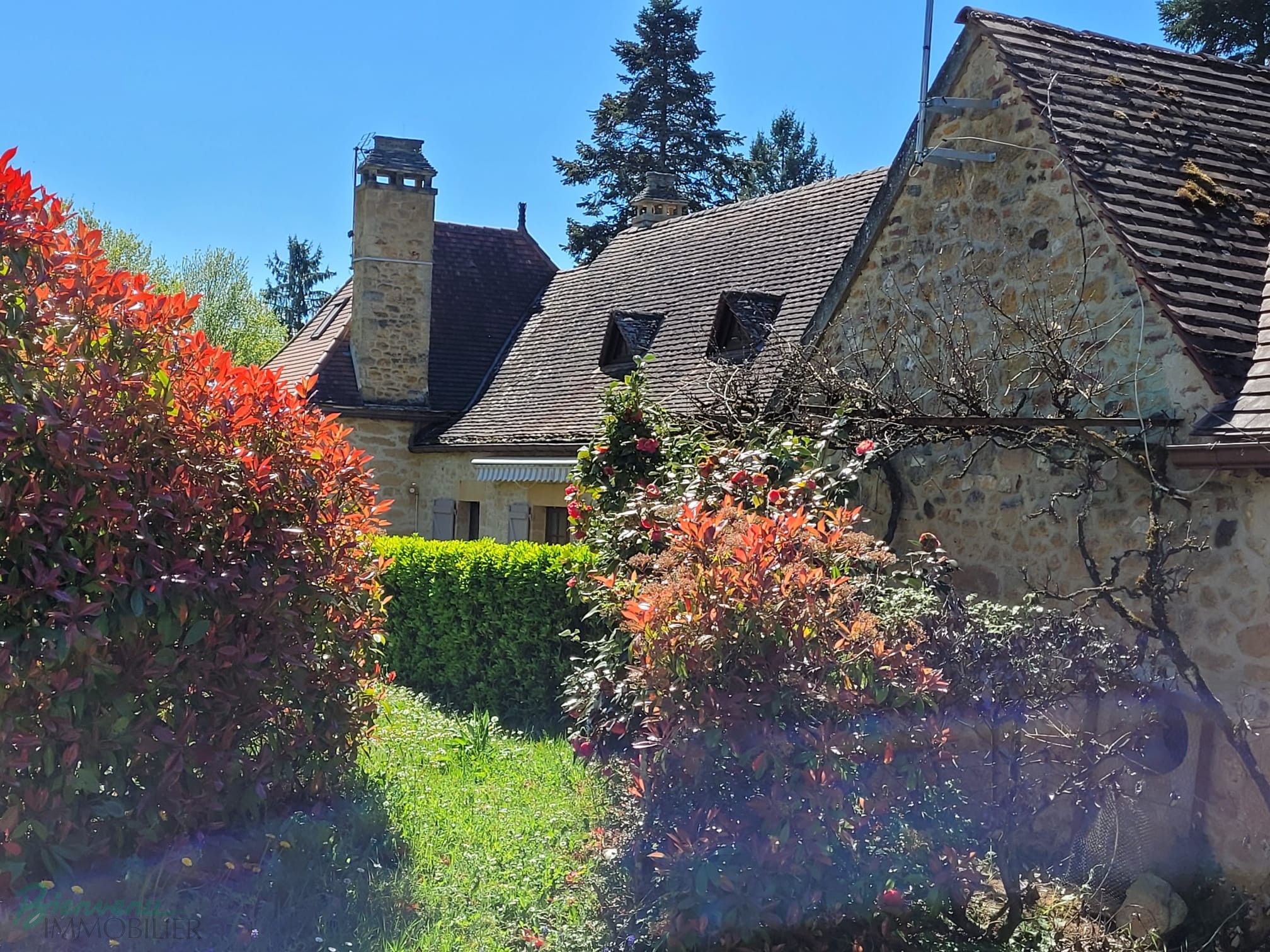 Charmante Maison principale en pierre & Gîte