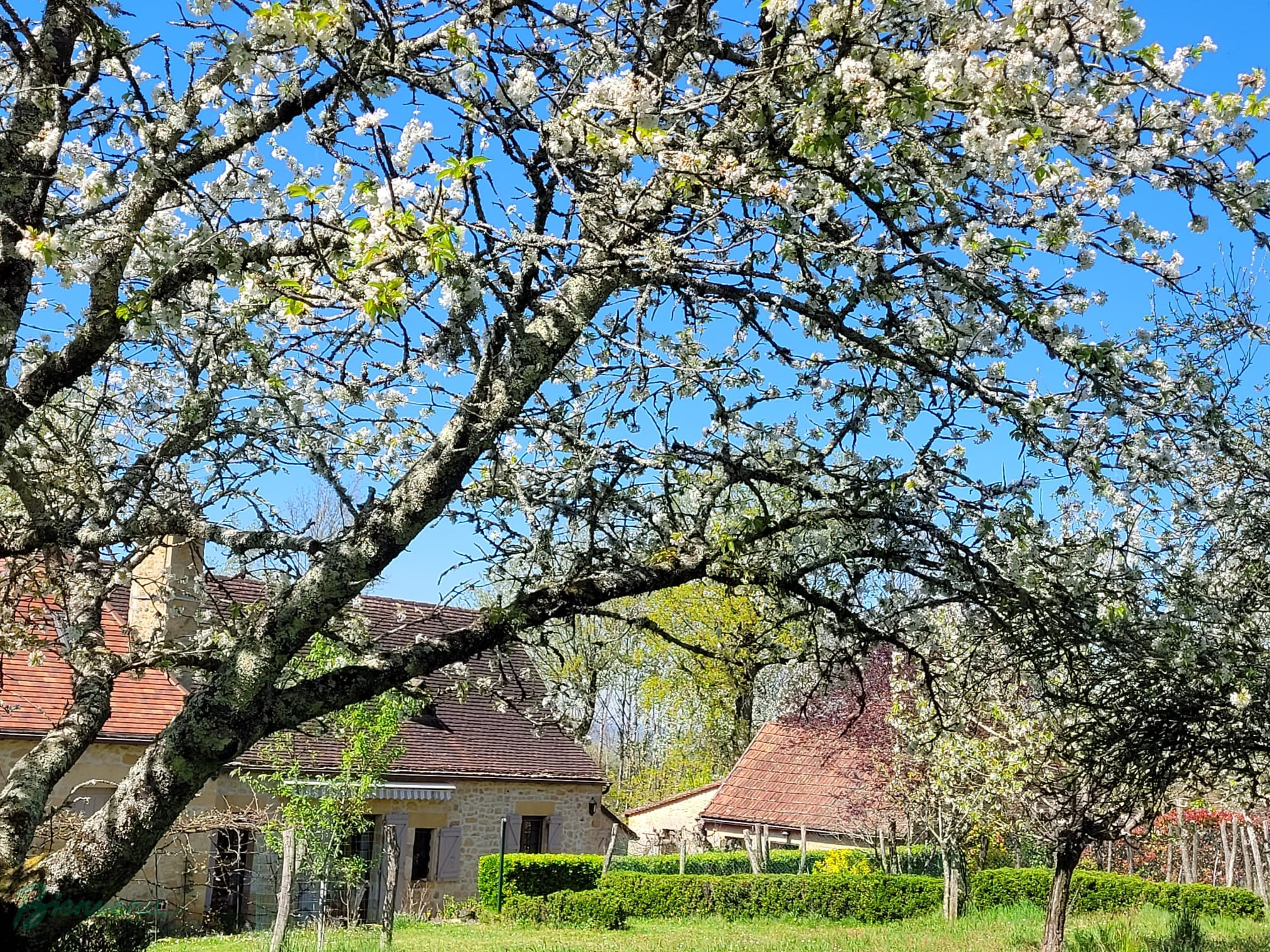 Charmante Maison principale en pierre & Gîte
