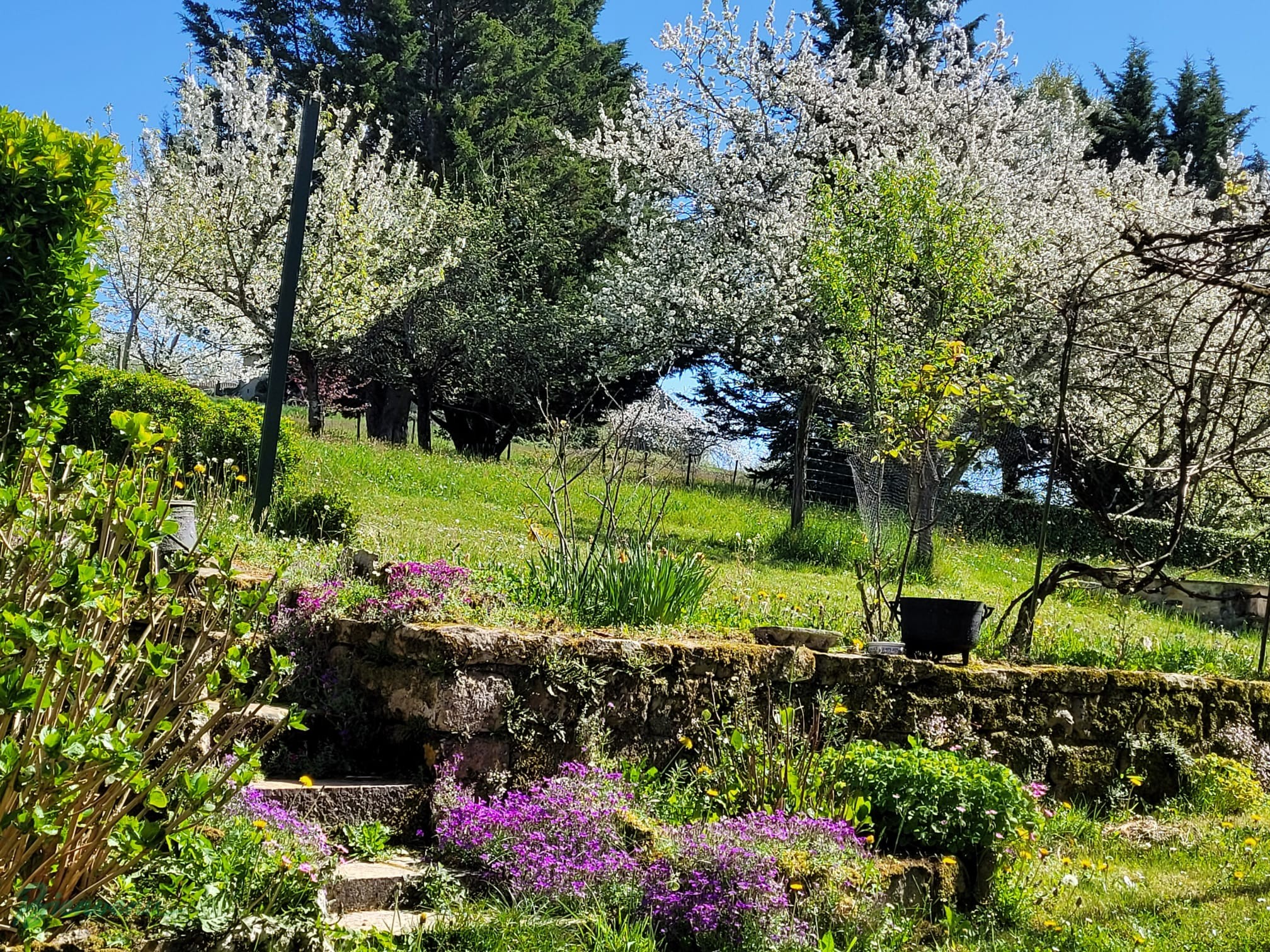 Charmante Maison principale en pierre & Gîte