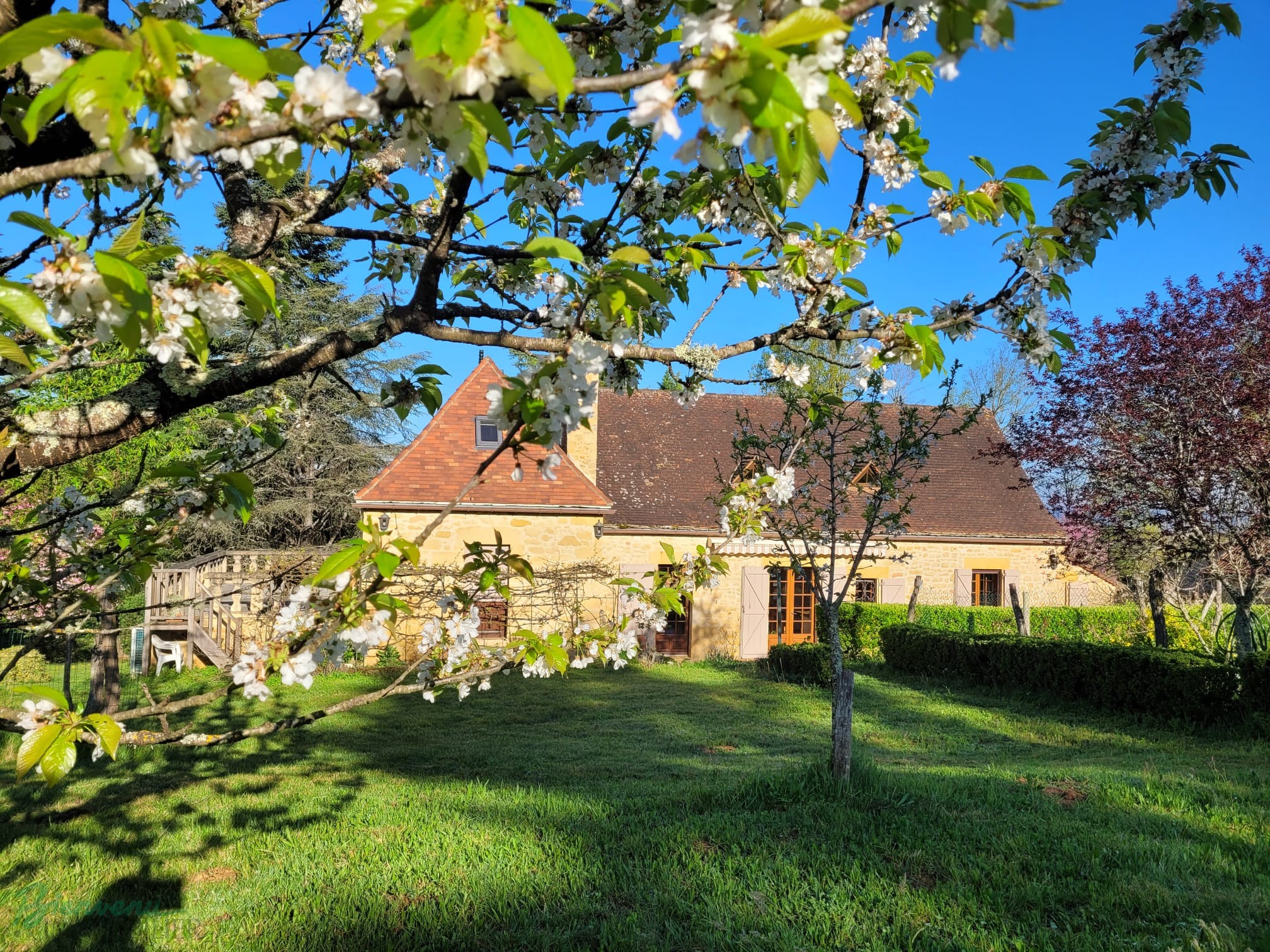 Charmante Maison principale en pierre & Gîte