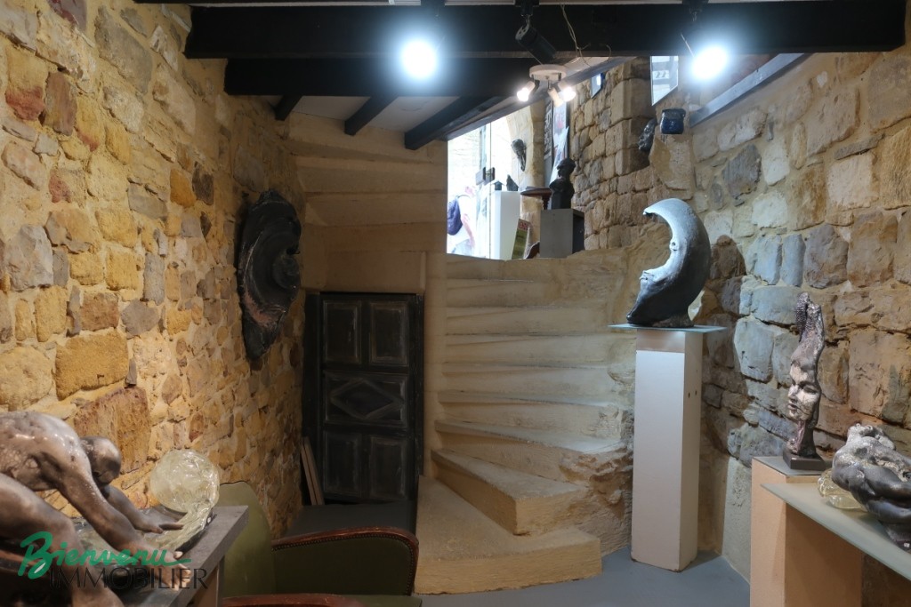 Magnifique Immeuble en pierre