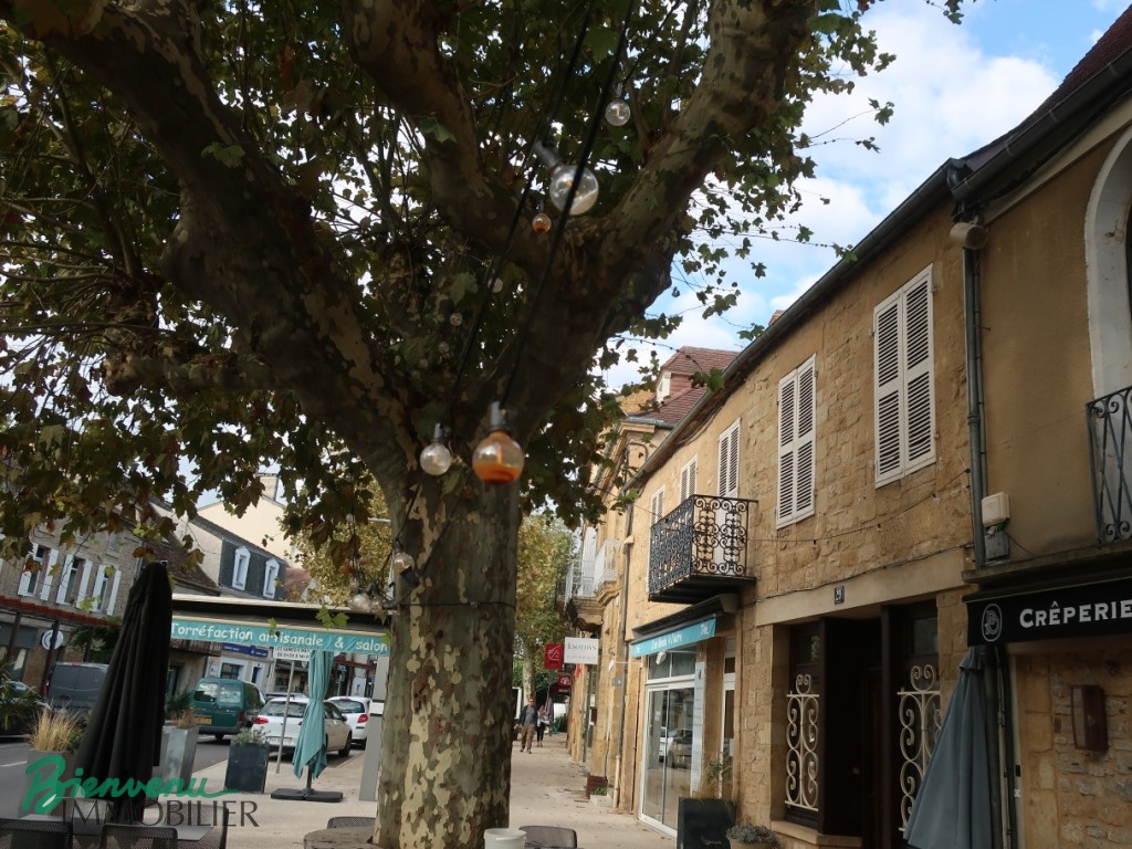 Charmante ensemble immobilier tout en pierre